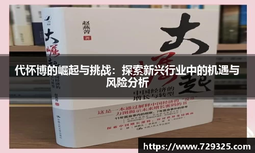 代怀博的崛起与挑战：探索新兴行业中的机遇与风险分析