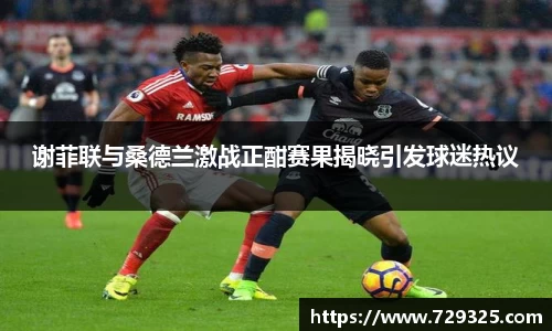 谢菲联与桑德兰激战正酣赛果揭晓引发球迷热议